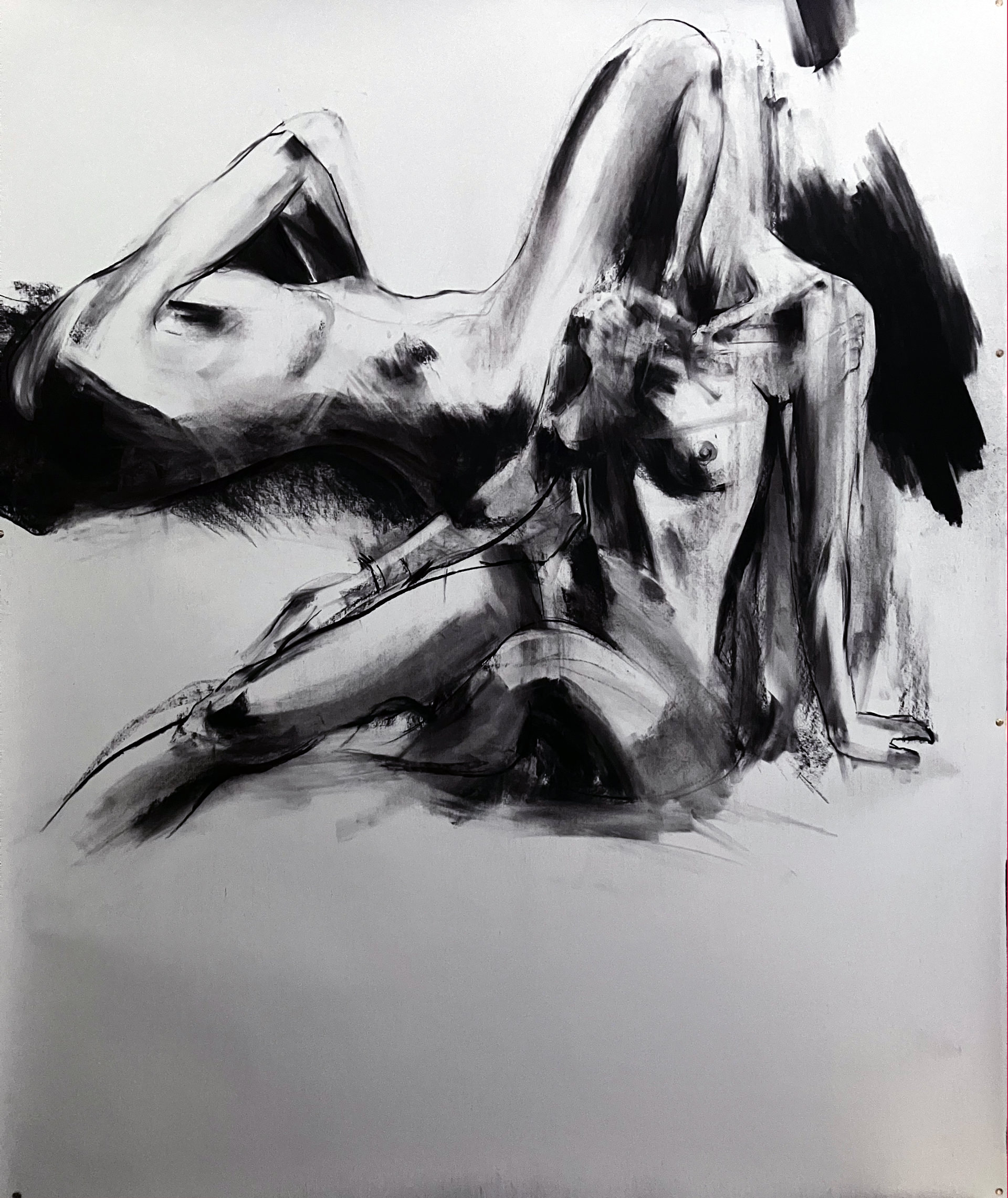 Charcoal drawing, anatomy, model